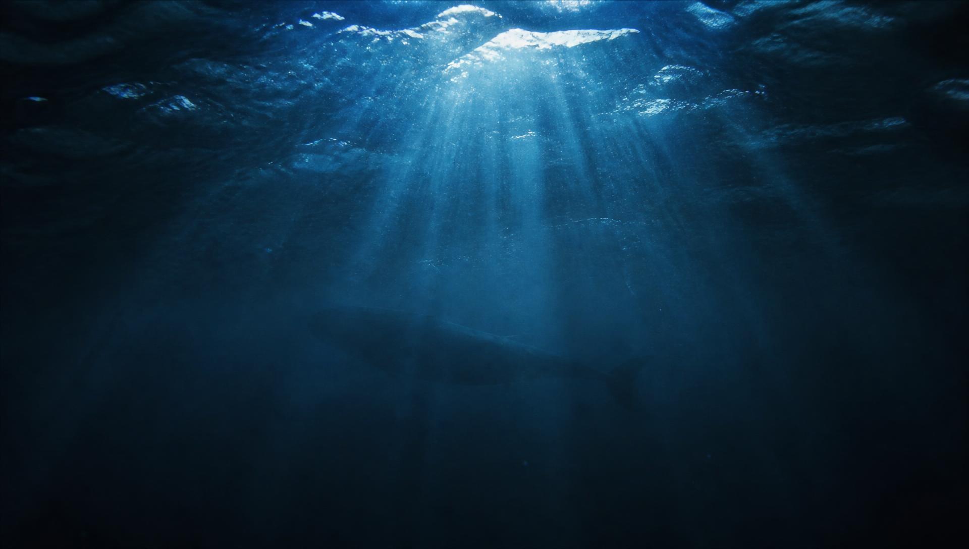 Sunlight falling through deep blue open ocean water